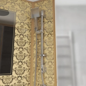 Душевая кабина Niagara Luxe NG-7711GR 120х90х220 R